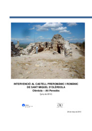 Intervenció al Castell Preromànic i Romànic de Sant Miquel d'Olèrdola