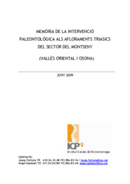 Memòria de la intervenció paleontològica als afloraments triàsics del sector del Montseny