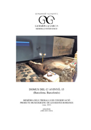 Domus del C/ Avinyó, 15. Memòria dels treballs de conservació. Projecte museuogràfic de les restes romanes