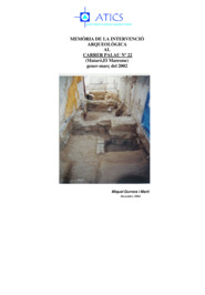 Memòria de la intervenció arqueológica al carrer Palau nº22