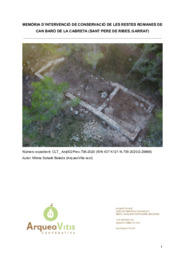 Memòria d’intervenció de conservació de les restes romanes de Can Baró de la Cabreta