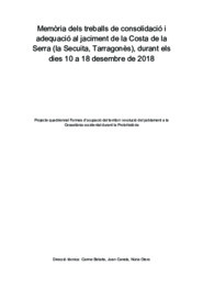 Memòria dels treballs de consolidació i adequació del jaciment de la Costa de la Serra