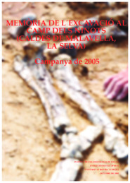 Memòria de l'excavació al Camp dels Ninots