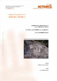 Intervenció arqueològica al Castell de La Miana