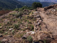 Intervenció arqueològica integrada en un projecte de recerca al Poblat Ibèric Puig Castellar.