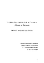Projecte de consolidació de la Palomera