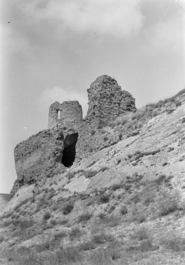 Runes del castell de Castelló de Farfanya