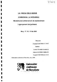 La Roca dels Bous (Camarasa, La Noguera). Memòria de la intervenció de manteniment i agençament del jaciment