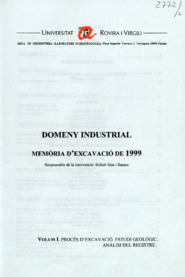 Domeny industrial. Memòria d'excavació de 1999