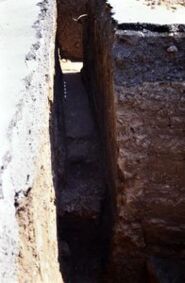 Memòria de la intervenció arqueològica realitzada a l'antic viver municipal de Badalona