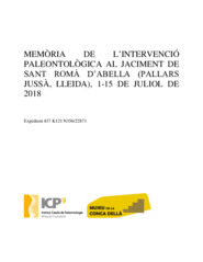 Memòria de l'intervenció paleontològica al jaciment de Sant Romà d'Abella