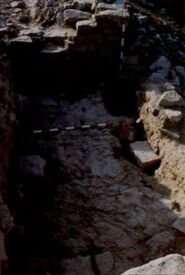 Memòria. Vuitena i novena campanyes d'ecavació al recinte fortificat del Coll del Moro de Gandesa