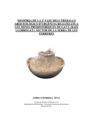 Memòria de la 2ª fase dels treballs arqueològics d'urgència realitzats a les Mines Prehistòriques de Gavà (Baix Llobregat): sector de la Serra de les Ferreres