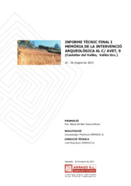Informe. Consolidació i protecció de les estructures arqueològiques del jaciment arqueològic Veral de Vallmora (o Cella Vinaria)