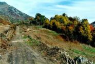 Camin Reiau (Bossòst, Val d'Aran). Memòria de la primera fase d'excavació preventiva i documentació gràfica realitzada durant el mes de Novembre del 2003
