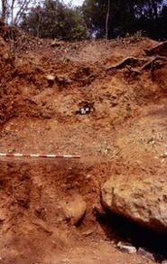 Memòria de l'excavació de la Balma Neolítica de Can Pallàs