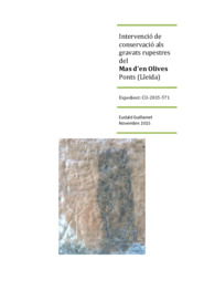 Intervenció de conservació als gravats rupestres del Mas d'en Olives.