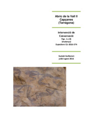 Memòria de la intervenció de conservació a l'Abric de la Vall II (Figs. 1 a 26)