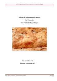 Informe de la documentació rupestre Les Brucardes