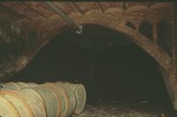 Fàbrica d'Alcohol Vínic de Vilajuïga (23)