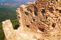 Castell de Burriac (22)