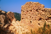 Castell de Burriac (24)