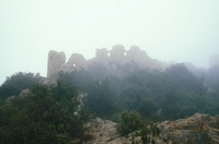 Castell de Burriac (31)