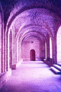 Castell de Cardona (31)