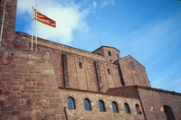Castell de Cardona (45)