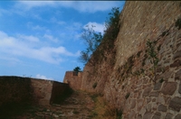 Castell de Cardona (113)