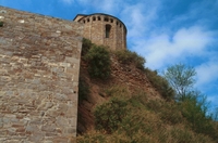 Castell de Cardona (116)