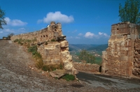 Castell de Cardona (126)
