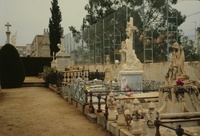 Cementiri d'Arenys de Mar (13)