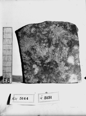 Placa de pedra del període magdalenià.