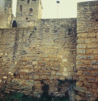 Castell i col.legiata de Sant Pere (00103)