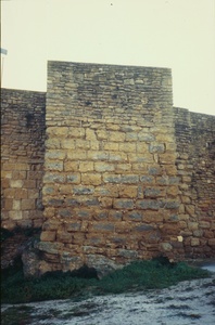 Castell i col.legiata de Sant Pere (00105)