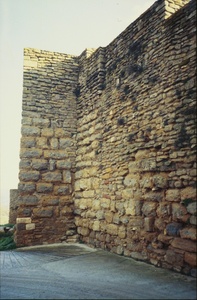 Castell i col.legiata de Sant Pere (00106)
