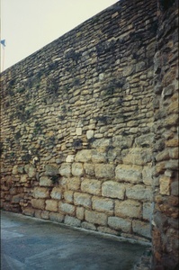 Castell i col.legiata de Sant Pere (00107)