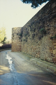 Castell i col.legiata de Sant Pere (00108)