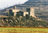 Castell de Riner