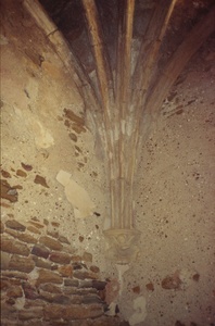 Castell i col.legiata de Sant Pere (00116)