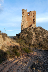 Castell d'Ascó