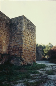 Castell i col.legiata de Sant Pere (00140)