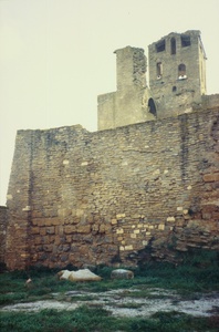 Castell i col.legiata de Sant Pere (00141)