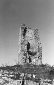 Torre o Castell de Perecamps (3)