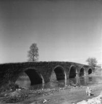 Pont de Gualta (4)