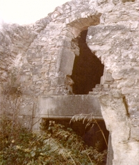 Castell de Clariana (4)