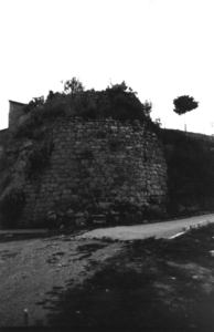 Castell i Muralla de Castellar (1)