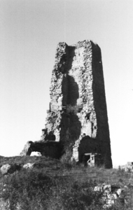 Torre o Castell de Perecamps (1)