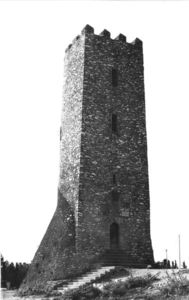Torre de l'Aldea (2)